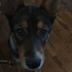 Meet your Posher, Mariah